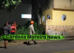 Bombeiros são acionados após aparecimento de enxame de abelhas no centro da cidade