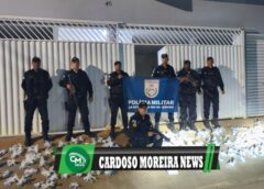 Polícia Militar apreende mais de 7 mil pinos de cocaína em ação contra o tráfico em Cardoso Moreira
